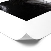 Mondlicht-Schnurrhaare Poster (Ecke)