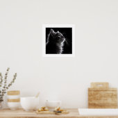 Mondlicht-Schnurrhaare Poster (Küche)