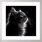 Mondlicht-Schnurrhaare Poster (Vorne)