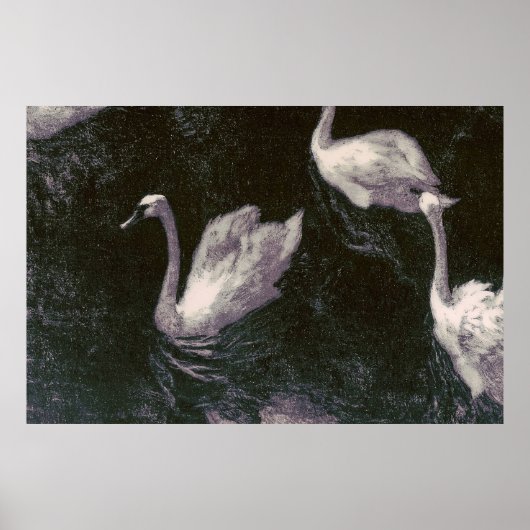 Mondlicht-Schwanensee Poster (Vorne)
