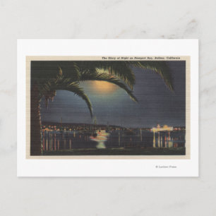 Mondlichtansicht der Bucht von Newport Postkarte
