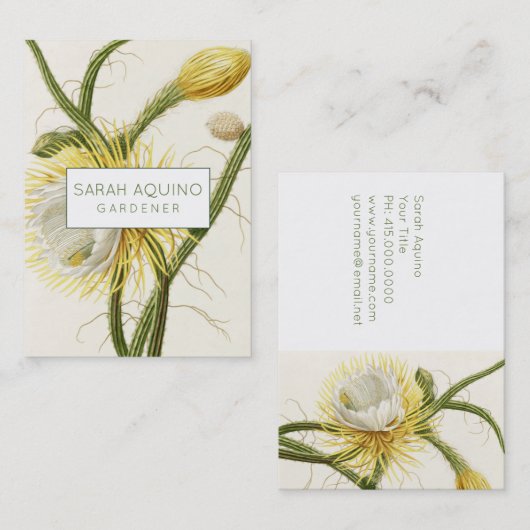 Mondlichtkaktus Visitenkarte (Vorne/Hinten)