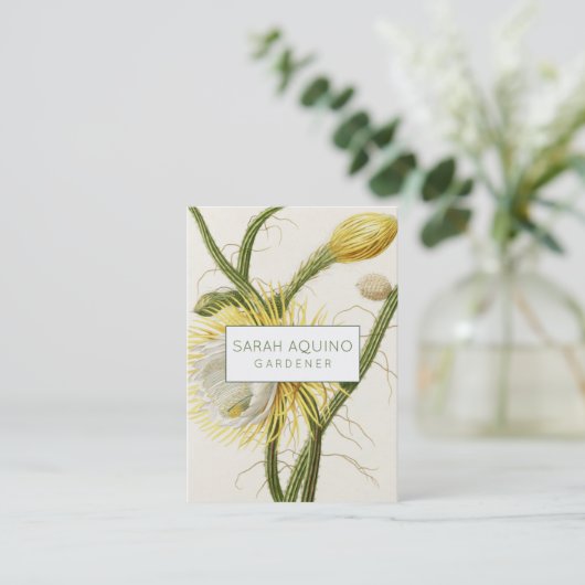 Mondlichtkaktus Visitenkarte (Stehend Vorderseite)