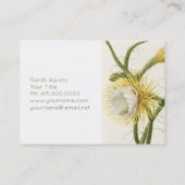 Mondlichtkaktus Visitenkarte (Rückseite)