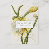 Mondlichtkaktus Visitenkarte (Vorderseite)