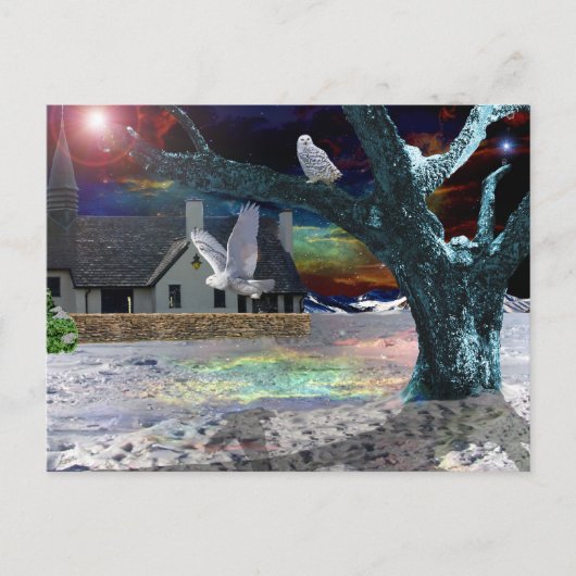 Mondlichtschatten.. Postkarte (Vorderseite)