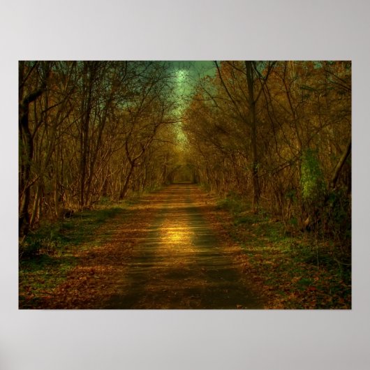 Mondlichtweg Poster (Vorne)