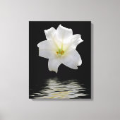 Mondlilie Leinwanddruck (Vorderseite)