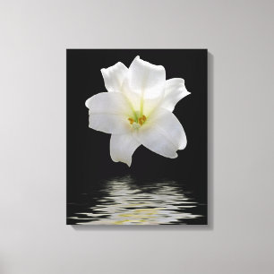 Mondlilie Leinwanddruck