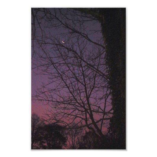 Mondmorgens Fotodruck (Vorne)