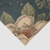 Mondmotten-Botanik-Apotheke Seidenpapier (Ausschnitt)