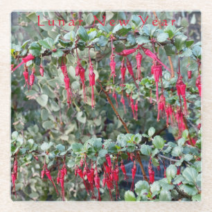 Mondneujahr - Ribes Speciosum $ 12,95 pro 15% Glasuntersetzer