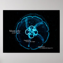 Mondqualle im Unterwasserraum Poster