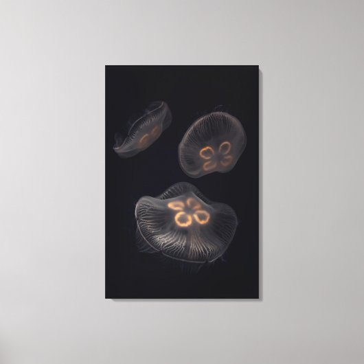 Mondqualle schwimmen leinwanddruck (Vorderseite)