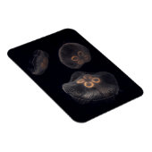 Mondqualle schwimmen magnet (Rechte Seite)