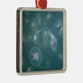 Mondquallen Silbernes Ornament (Rechts)