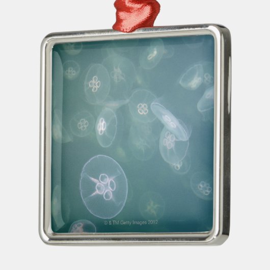 Mondquallen Silbernes Ornament (Links)