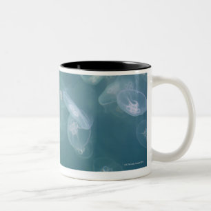 Mondquallen Zweifarbige Tasse
