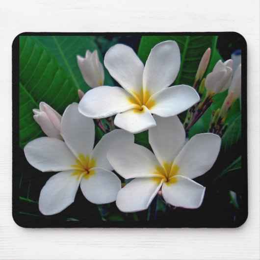 MondscheinPlumeria Mousepad (Vorne)