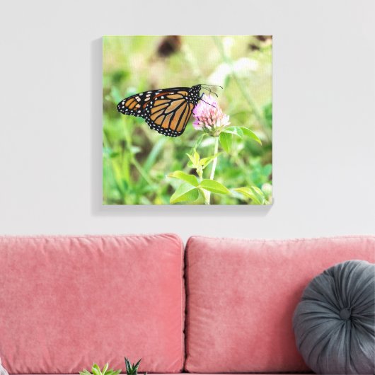 Mondschmetterling Leinwanddruck (Insitu (Wohnzimmer))