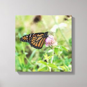 Mondschmetterling Leinwanddruck