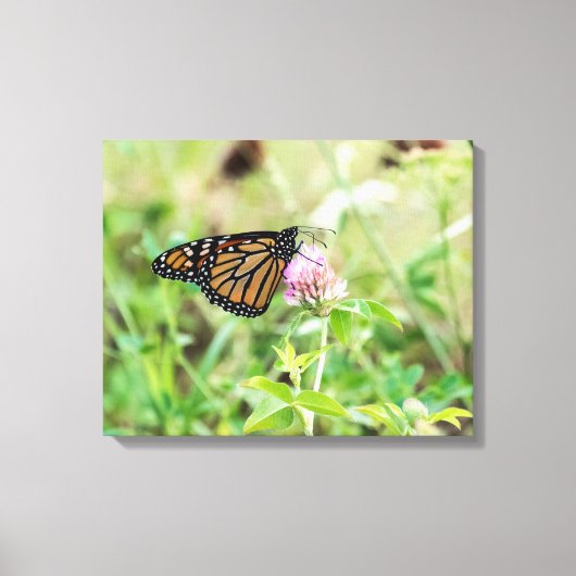 Mondschmetterling Leinwanddruck (Vorderseite)