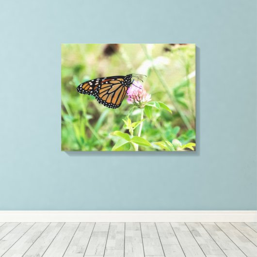 Mondschmetterling Leinwanddruck (Insitu (Holzboden))