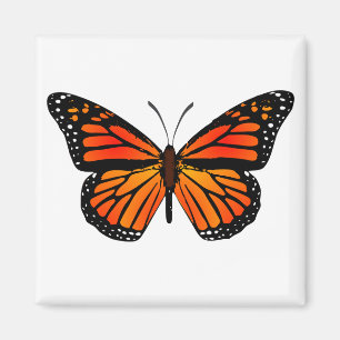 Mondschmetterling Magnet