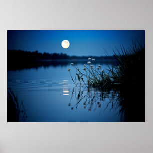 Mondsee Ruhige Friedliche Natur Poster