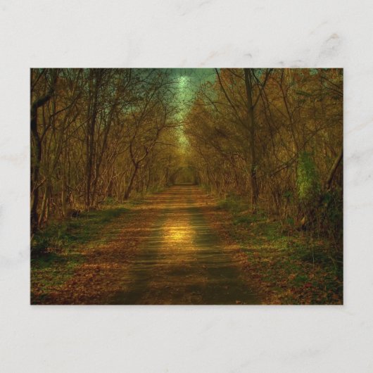 Mondspaziergang Lynchburg Städtische Parcours Postkarte (Vorderseite)