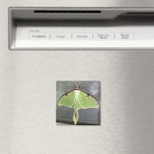 Mondspinner Magnet (In Situ (Geschirrspüler))