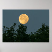 Monduntergang Poster (Vorne)