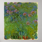 Monet - Agapanthus-Blume 1917 Poster (Vorne)