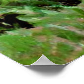 Monet - Apfelbäume im Blut Poster (Ecke)