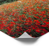 Monet Field of Red Poppies Poster (Ecke)
