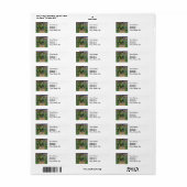 Monet Garden Vetheuil Impressionim Malerei (Vorne)