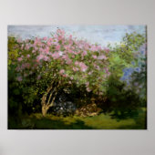 Monet - Lilacs in der Sonne Poster (Vorne)
