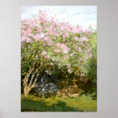 Monet - Lilacs in der Sonne Poster (Vorne)