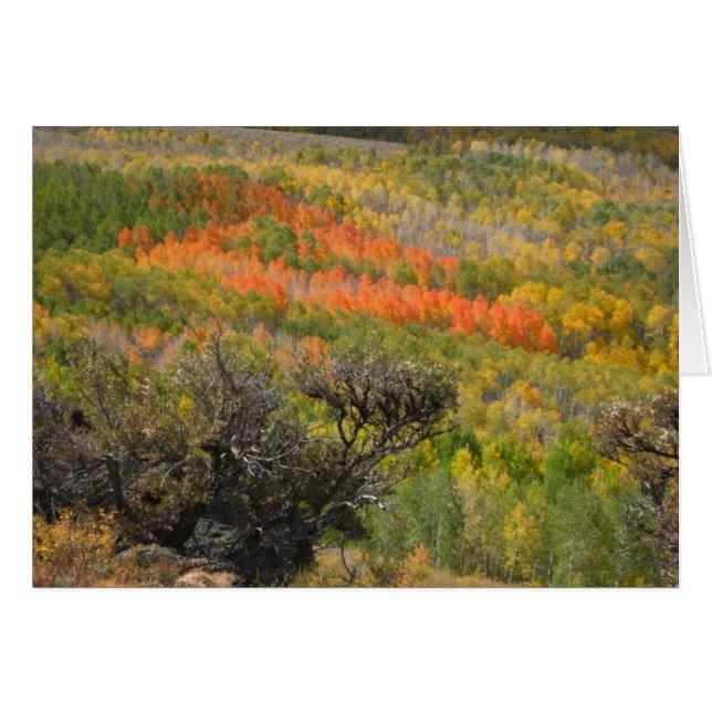 Monet Moment (Vorderseite (Horizontal))