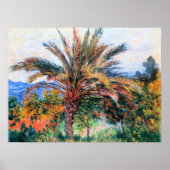 Monet - Palme in Bordighera, Poster (Vorne)