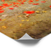 Monet Poppies Poster (Ecke)