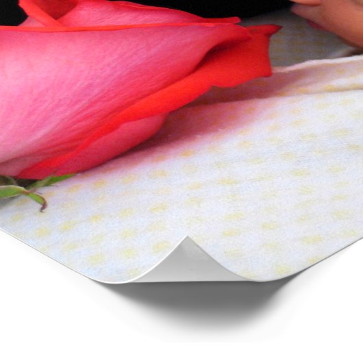 Monet Rose Poster (Ecke)