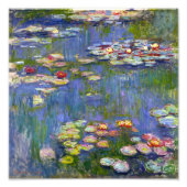 Monet Water Lilies 1916 Print Fotodruck (Vorne)