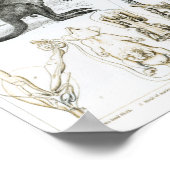 Monetremata, Edentata Poster (Ecke)