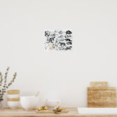 Monetremata, Edentata Poster (Küche)