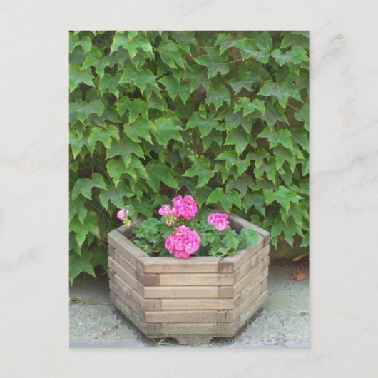 Monets Blume Postkarte (Vorderseite)