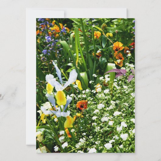 Monet's Garden Blume Hochzeit Einladung (Rückseite)