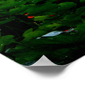 Monet's Garden, Giverny, Frankreich im Herbst Poster (Ecke)