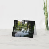 Monets Lily Pond, Giverny, Frankreich (Vorderseite)