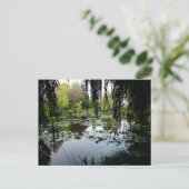Monets Lily Pond, Giverny, Frankreich Postkarte (Stehend Vorderseite)
